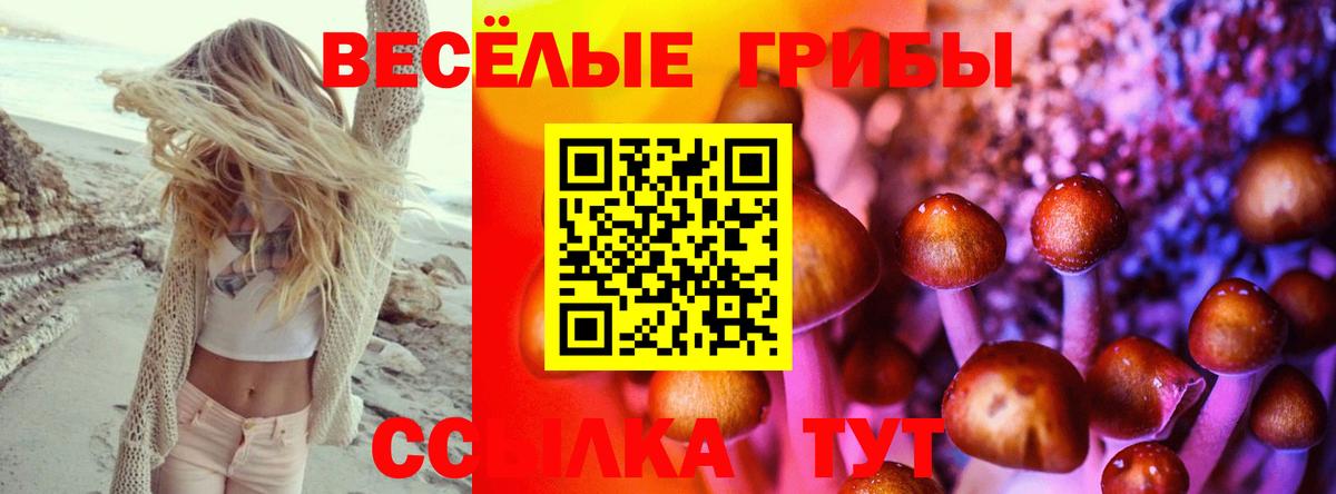 Псилоцибиновые грибы Psilocybe Сергиев Посад