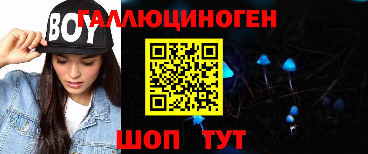 Псилоцибиновые грибы прущие грибы  Псилоцибиновые грибы мухоморы  Сергиев Посад  Вход с VPN 